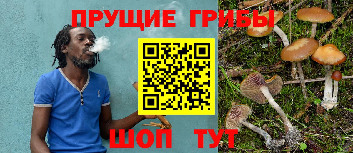 Псилоцибиновые грибы мицелий Подольск