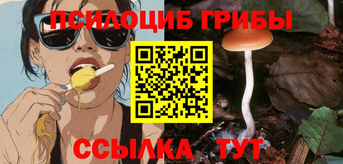 Подольск  Галлюциногенные грибы GOLDEN TEACHER  Вход с VPN 